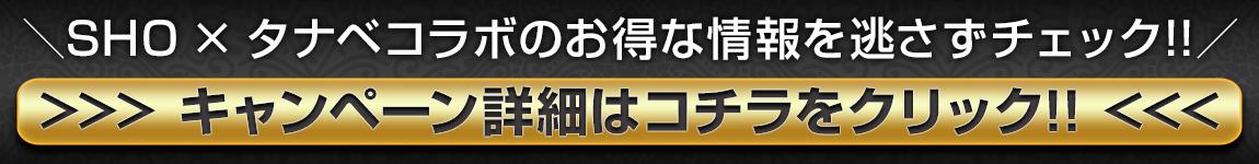 キャンペーン詳細