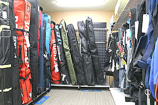 ski case