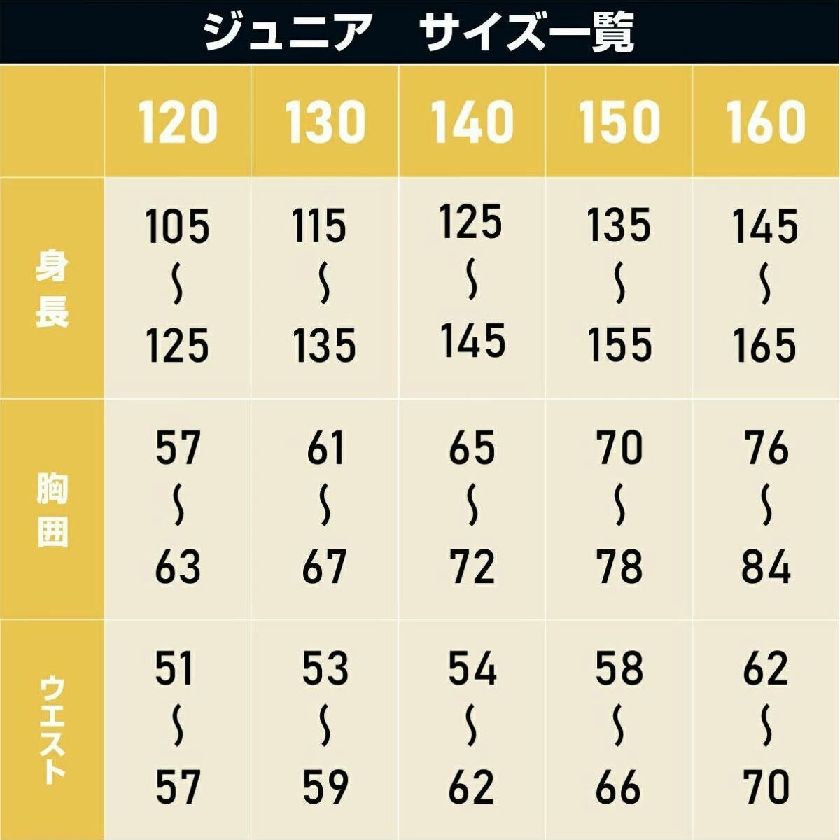 スキーウェア キッズ ジュニア 上下セット 動きやすさNo.1【3年着