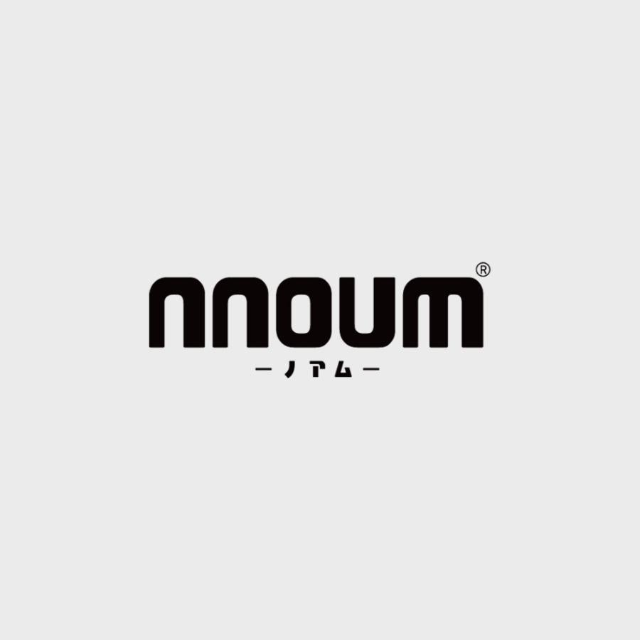 試着のみ NNOUM スキー スノーボード ウェアセット レディース スキーウェア レディース 上下セット ハイブランドと同工場で安心の