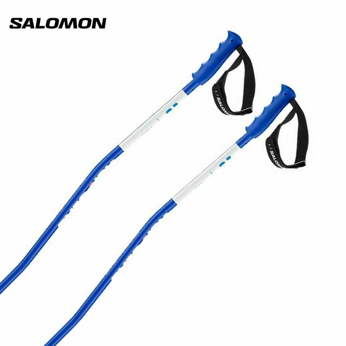 SALOMON】サロモンスキーストックポールならスキー用品通販ショップ