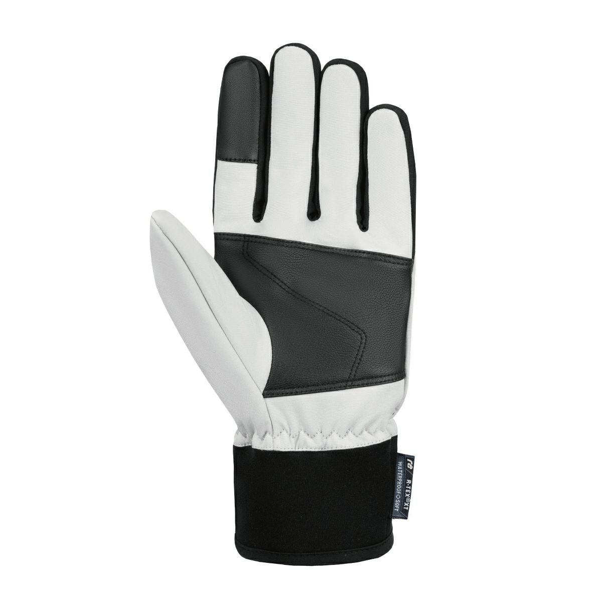 REUSCH ロイシュ スキーグローブ ＜2027＞DIVER X R-TEX XT / ダイバー