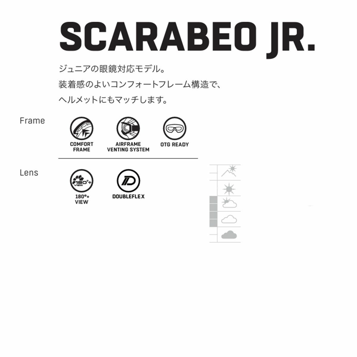 スキーゴーグル キッズ スキー ゴーグル ジュニア ALPINA アルピナ
