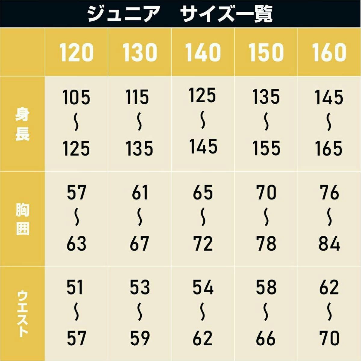 スキーウェア キッズ ジュニア 上下セット スノーウェア スノーボード