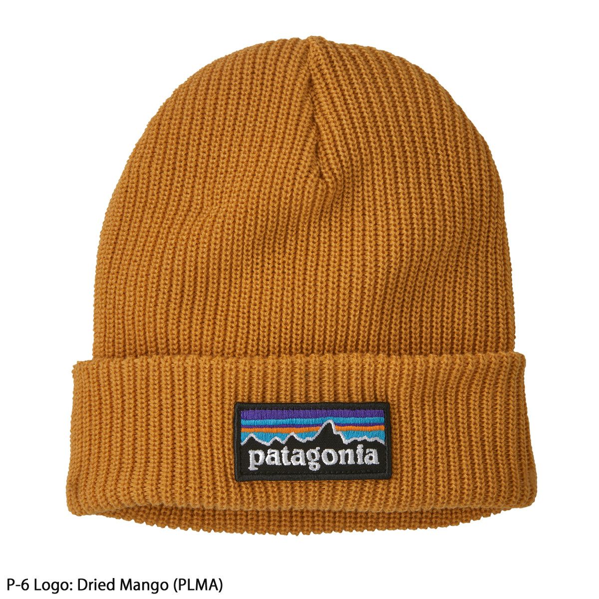 PATAGONIA パタゴニア スキー ニット帽 キッズ ジュニア＜2024＞ 66045