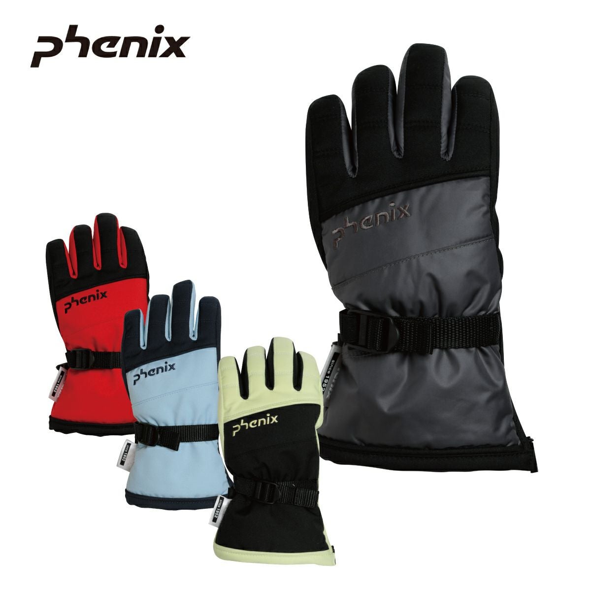 PHENIX】フェニックススキーグローブならスキー用品通販ショップ