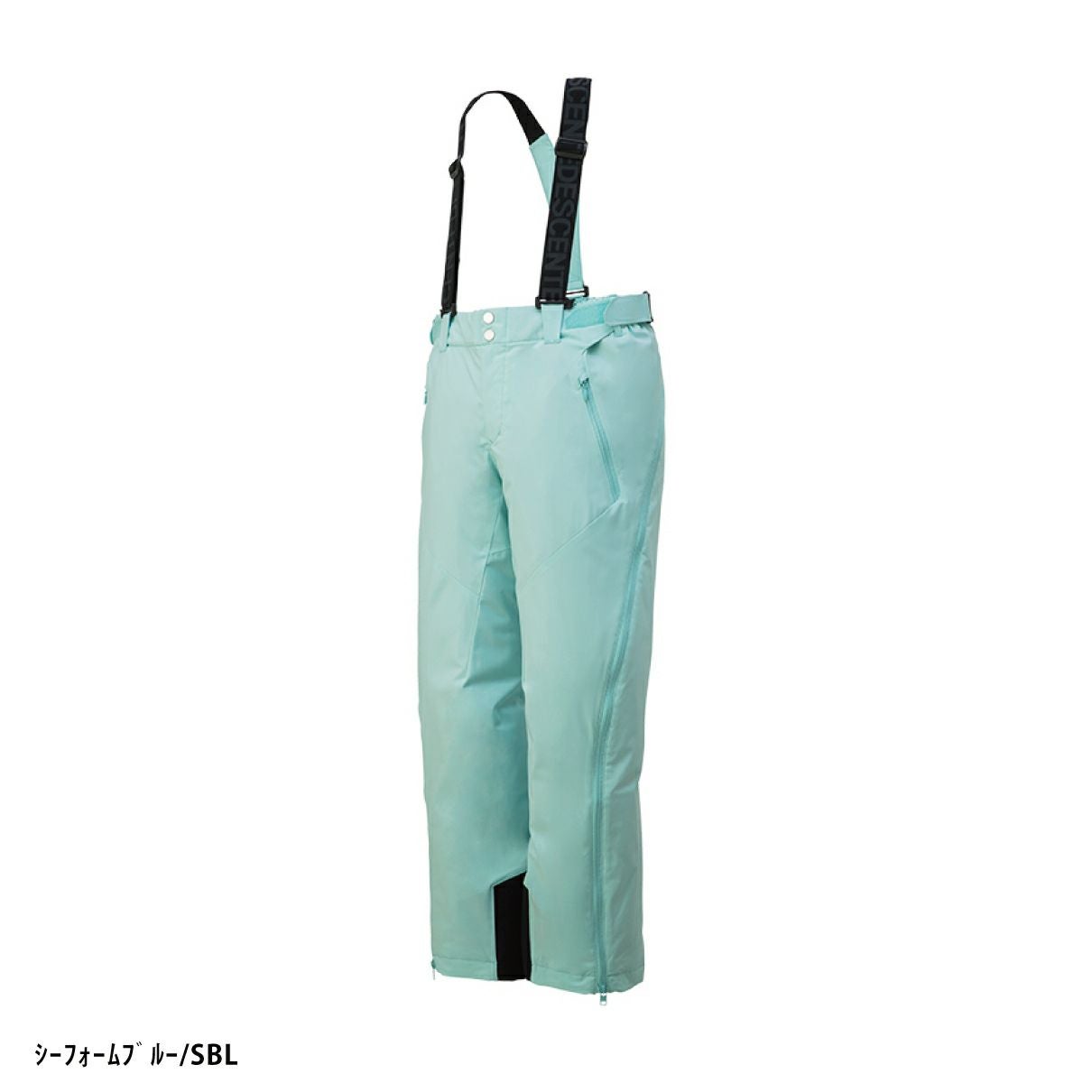 スキーウェア スキーパンツ デサント パンツ DESCENTE メンズ
