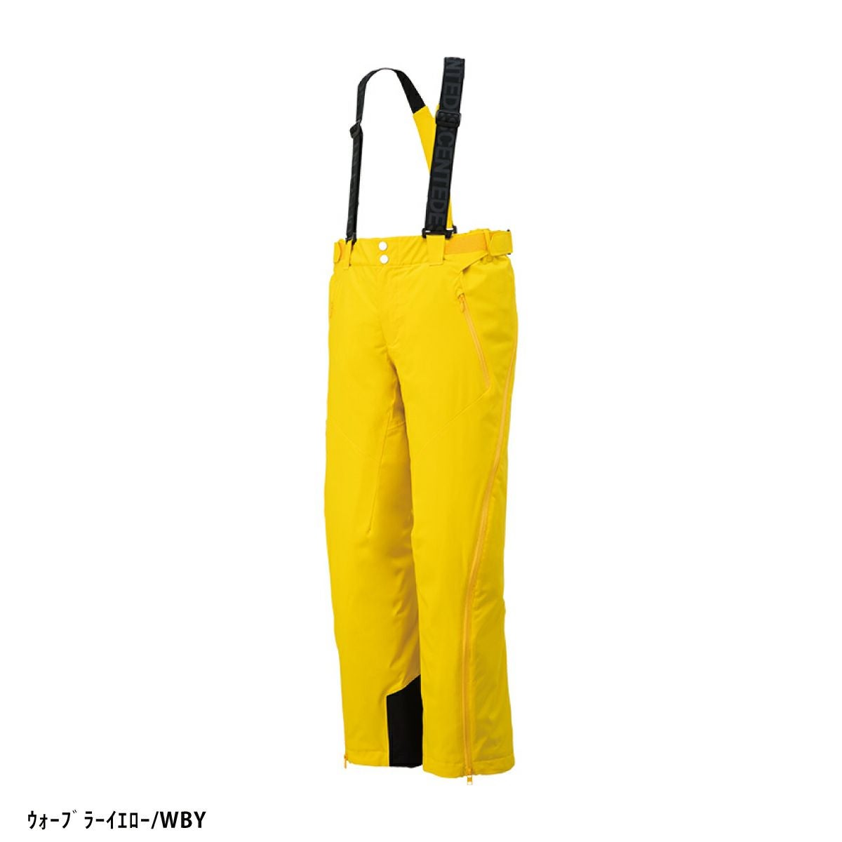 スキーウェア スキーパンツ デサント パンツ DESCENTE メンズ