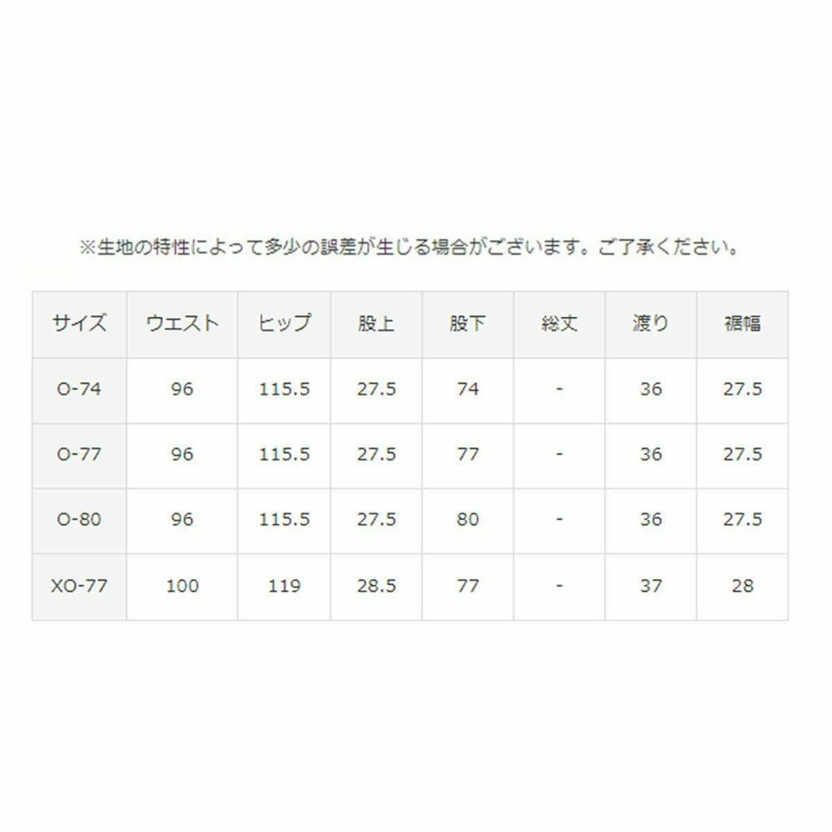 スキーウェア スキーパンツ デサント パンツ DESCENTE メンズ