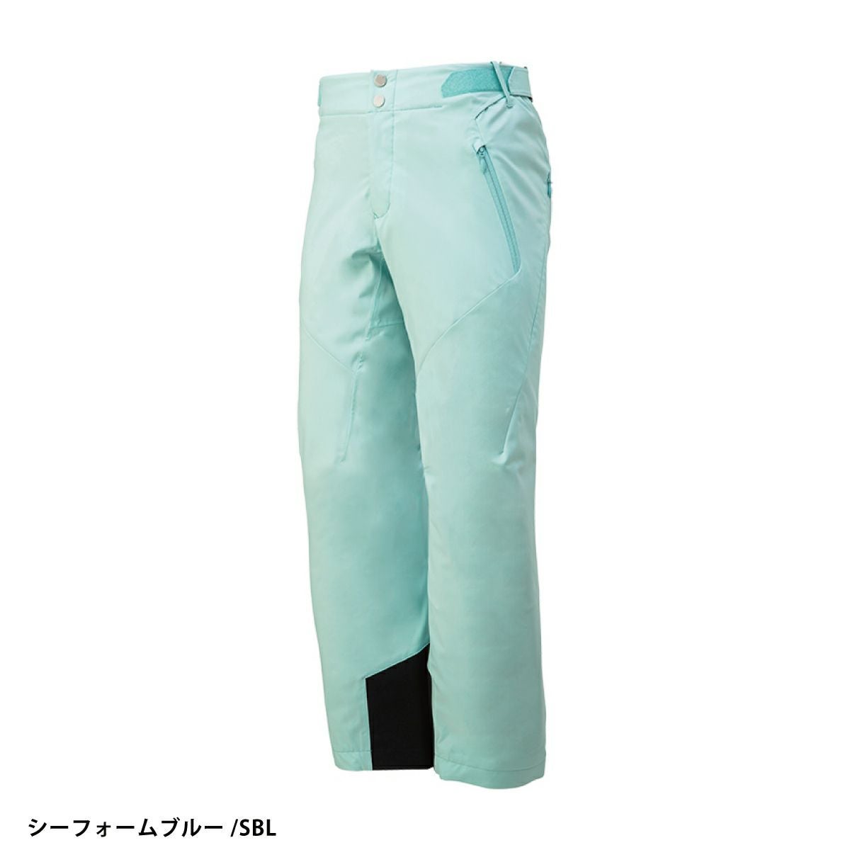 未使用 デサント ラクシングパンツ スキー スノーボードパンツ レディース LL スキーウェア スキーパンツ レディース パンツ デサント DESCENTE