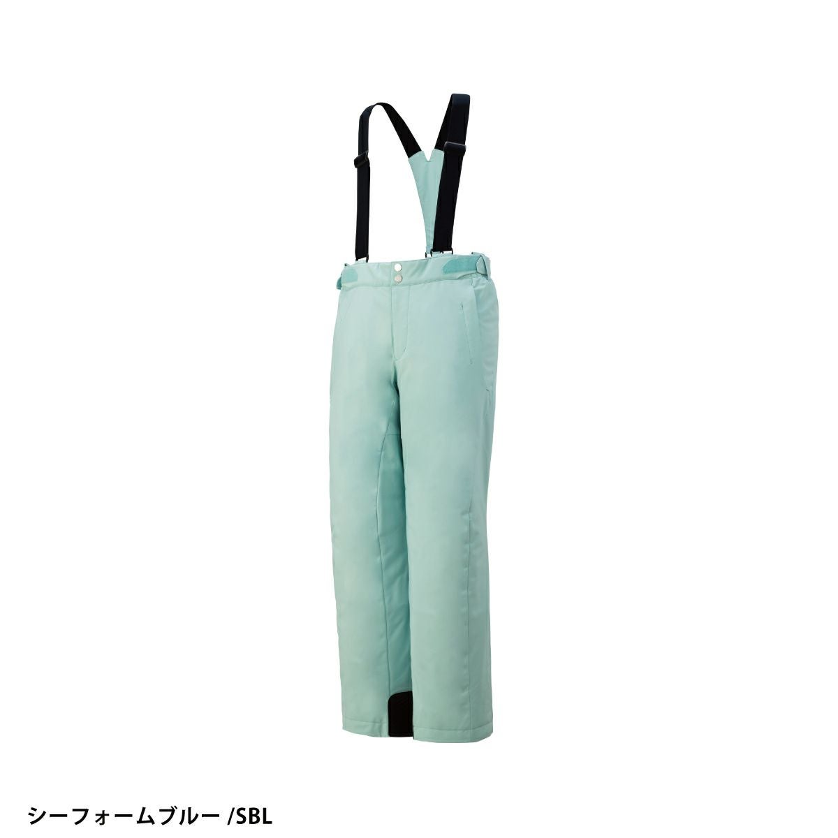 スキーウェア スキーパンツ デサント パンツ DESCENTE メンズ