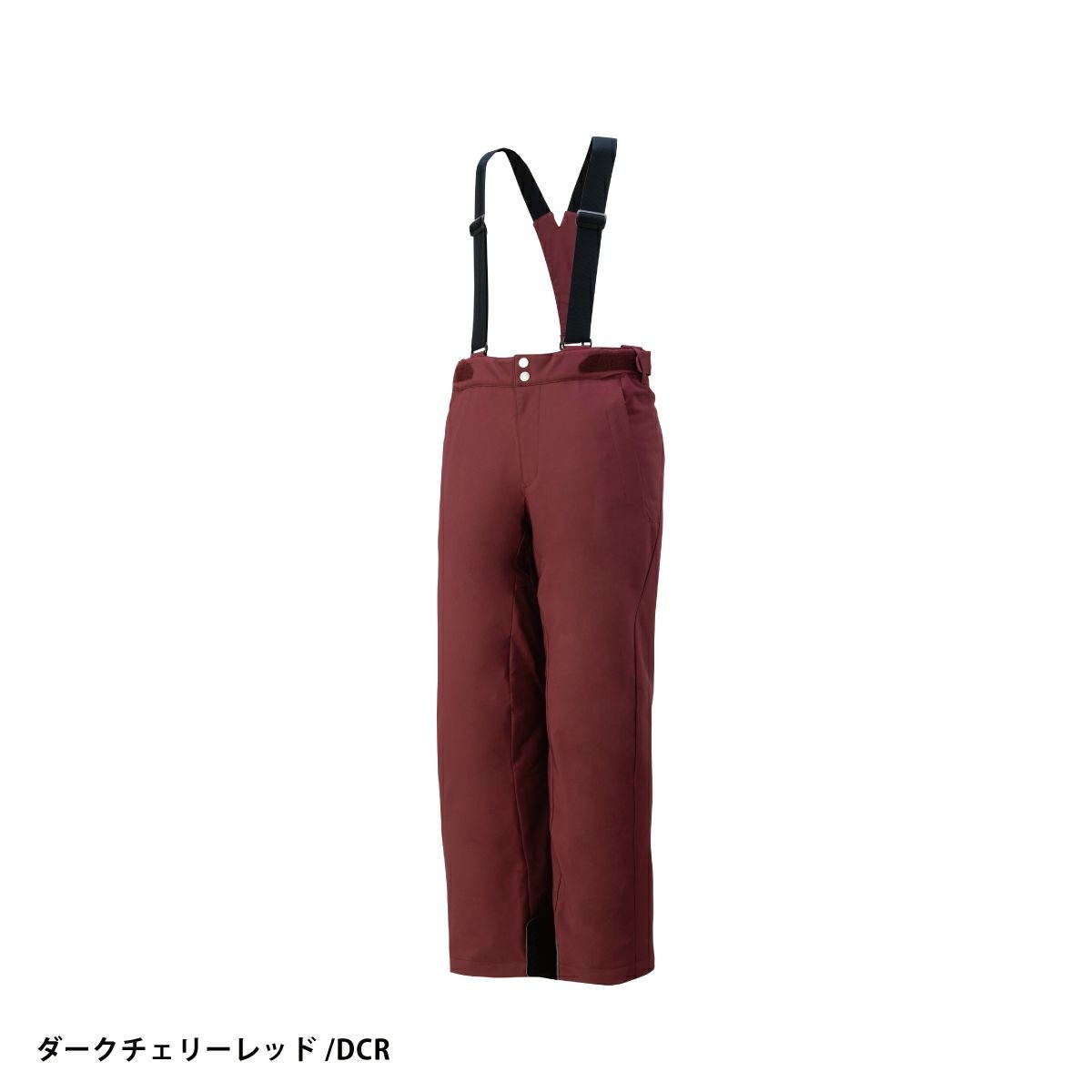 スキーウェア スキーパンツ デサント パンツ DESCENTE メンズ