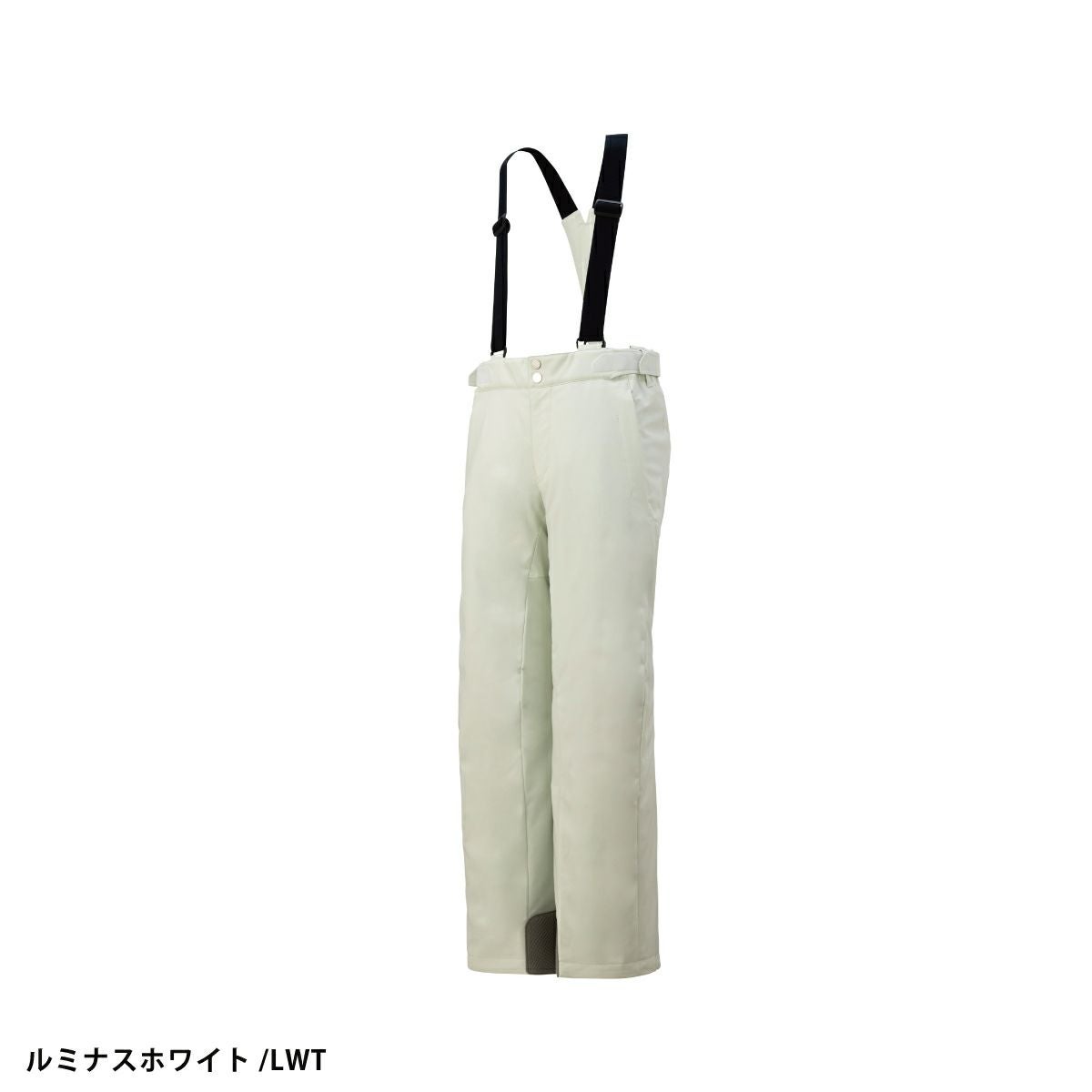 スキーウェア スキーパンツ デサント パンツ DESCENTE メンズ