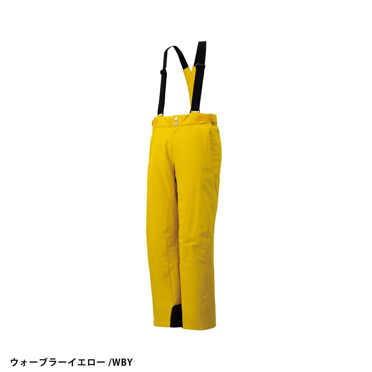スキーウェア スキーパンツ デサント パンツ DESCENTE メンズ