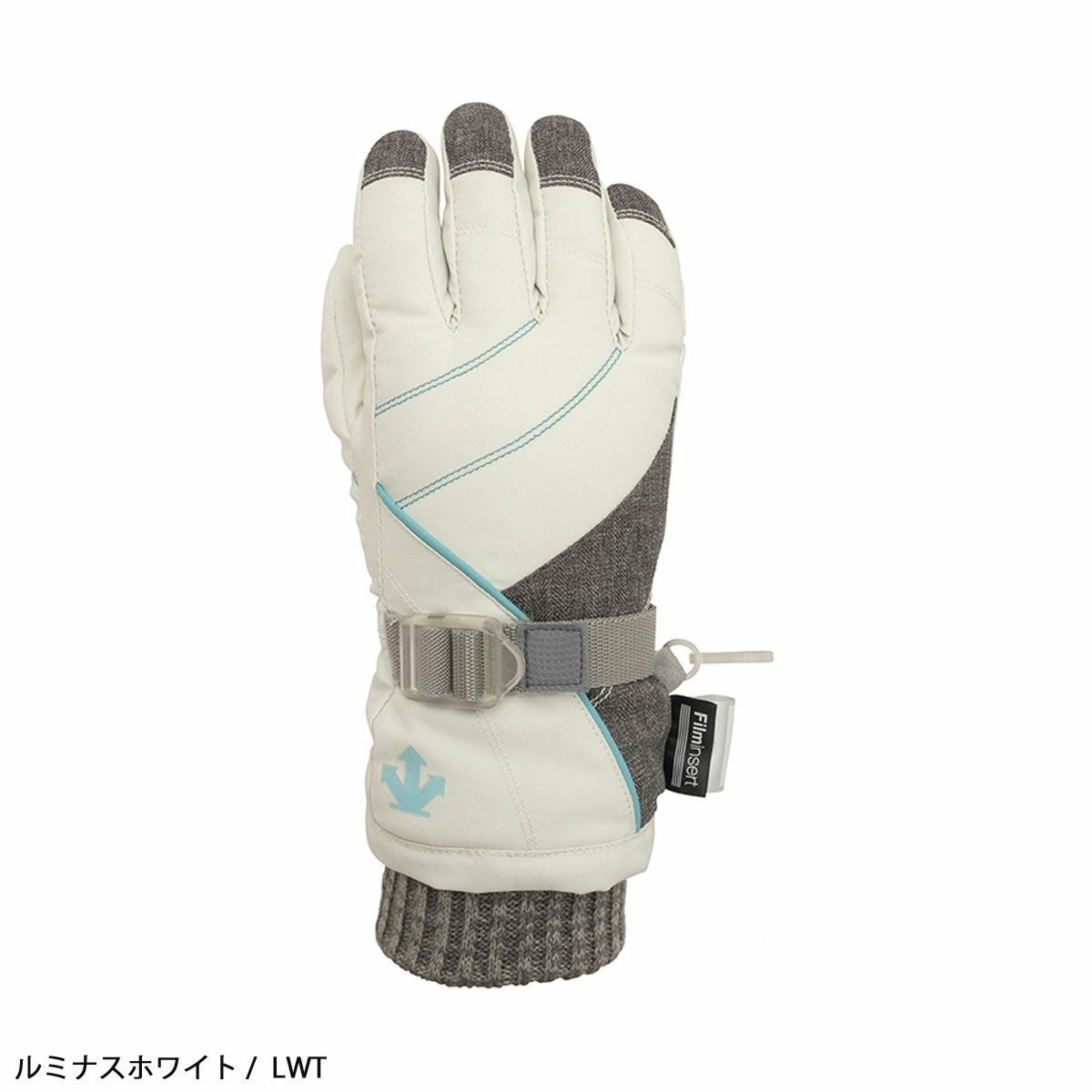 DESCENTE デサント スキー グローブ キッズ ジュニア DWDWJD62