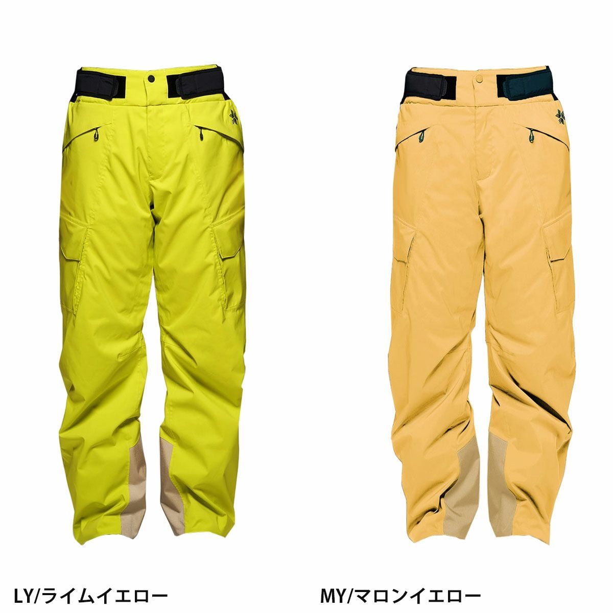 スキーウェア スキーパンツ パンツ ゴールドウイン Goldwin メンズ