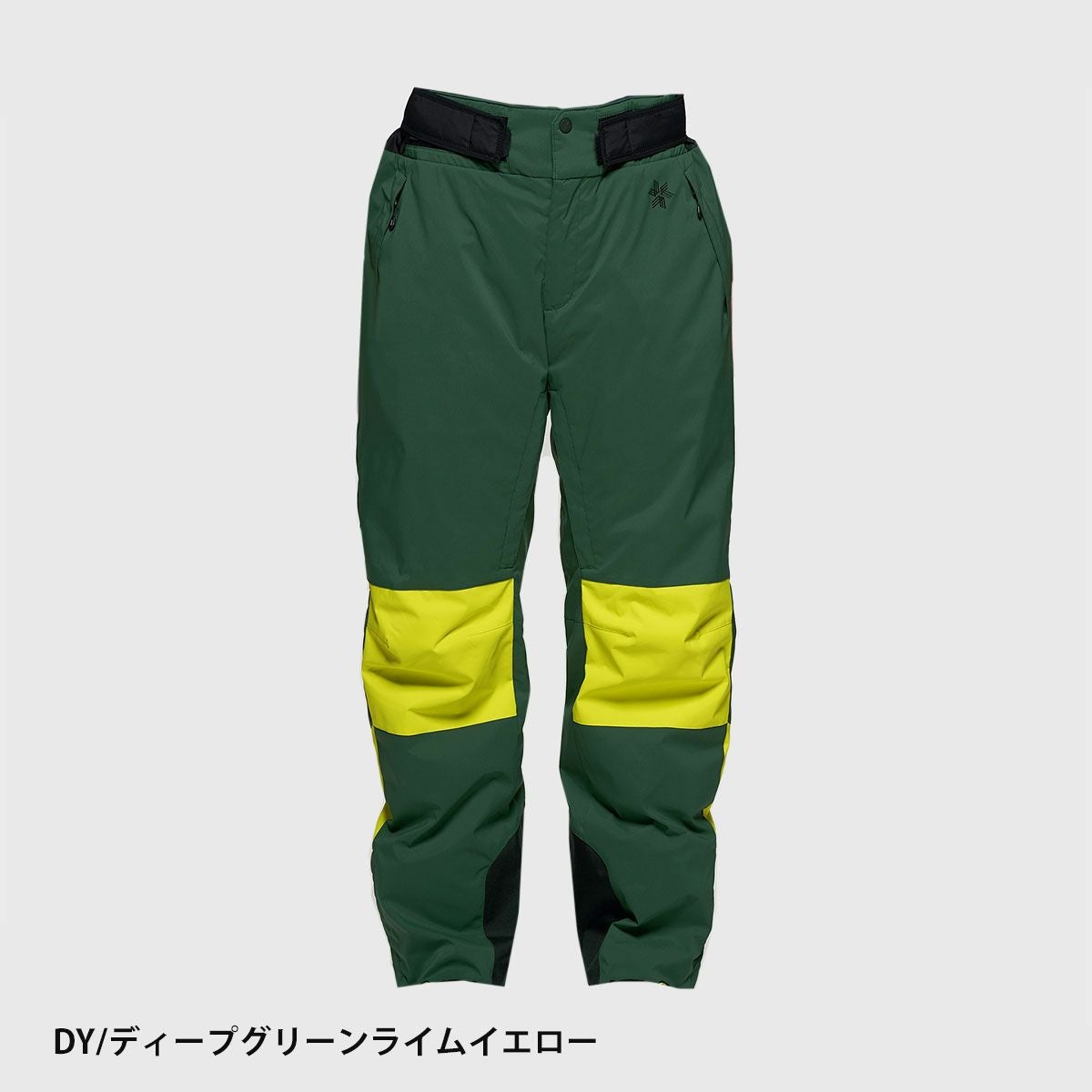 スキーウェア スキーパンツ パンツ ゴールドウイン Goldwin メンズ