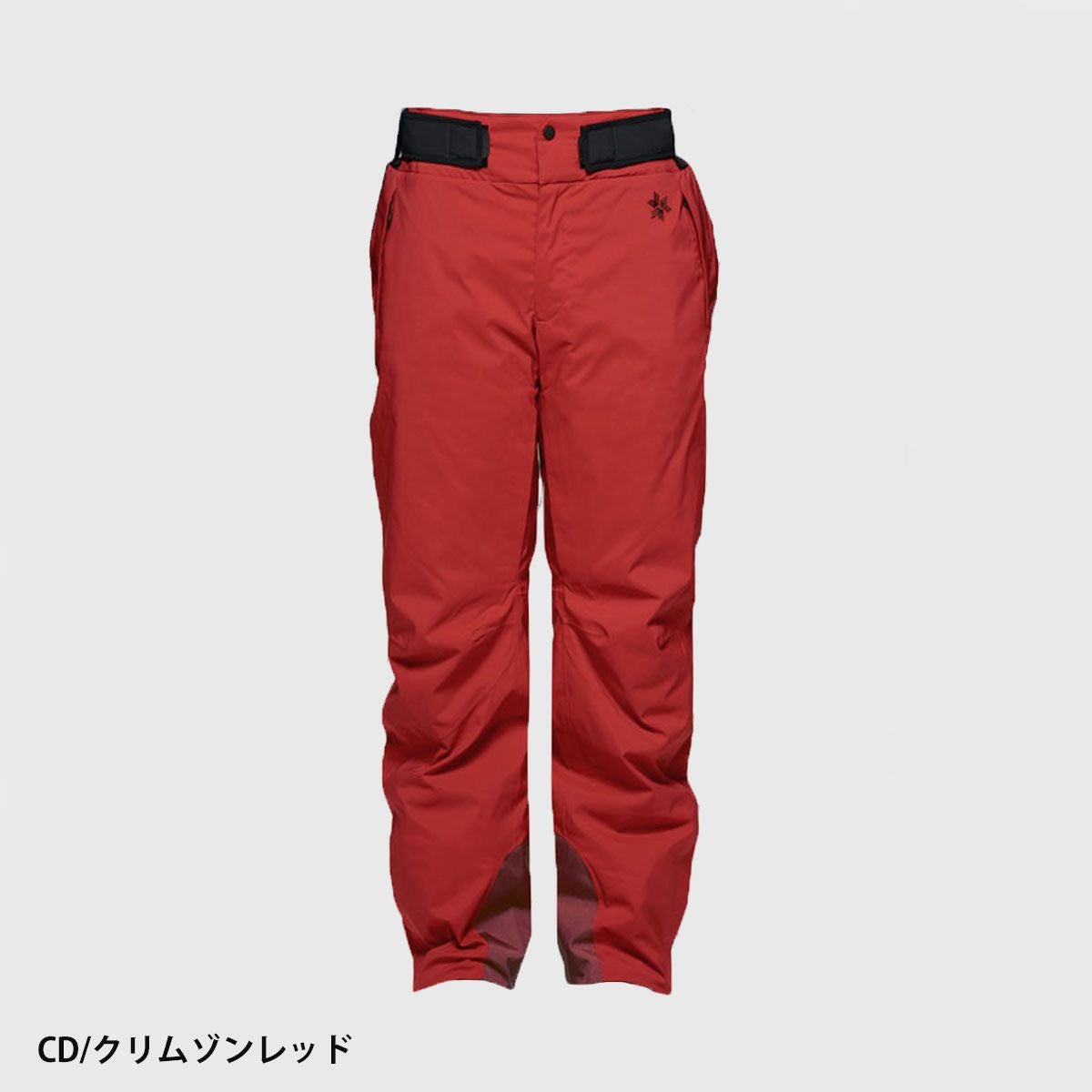 スキーウェア スキーパンツ パンツ ゴールドウイン Goldwin メンズ