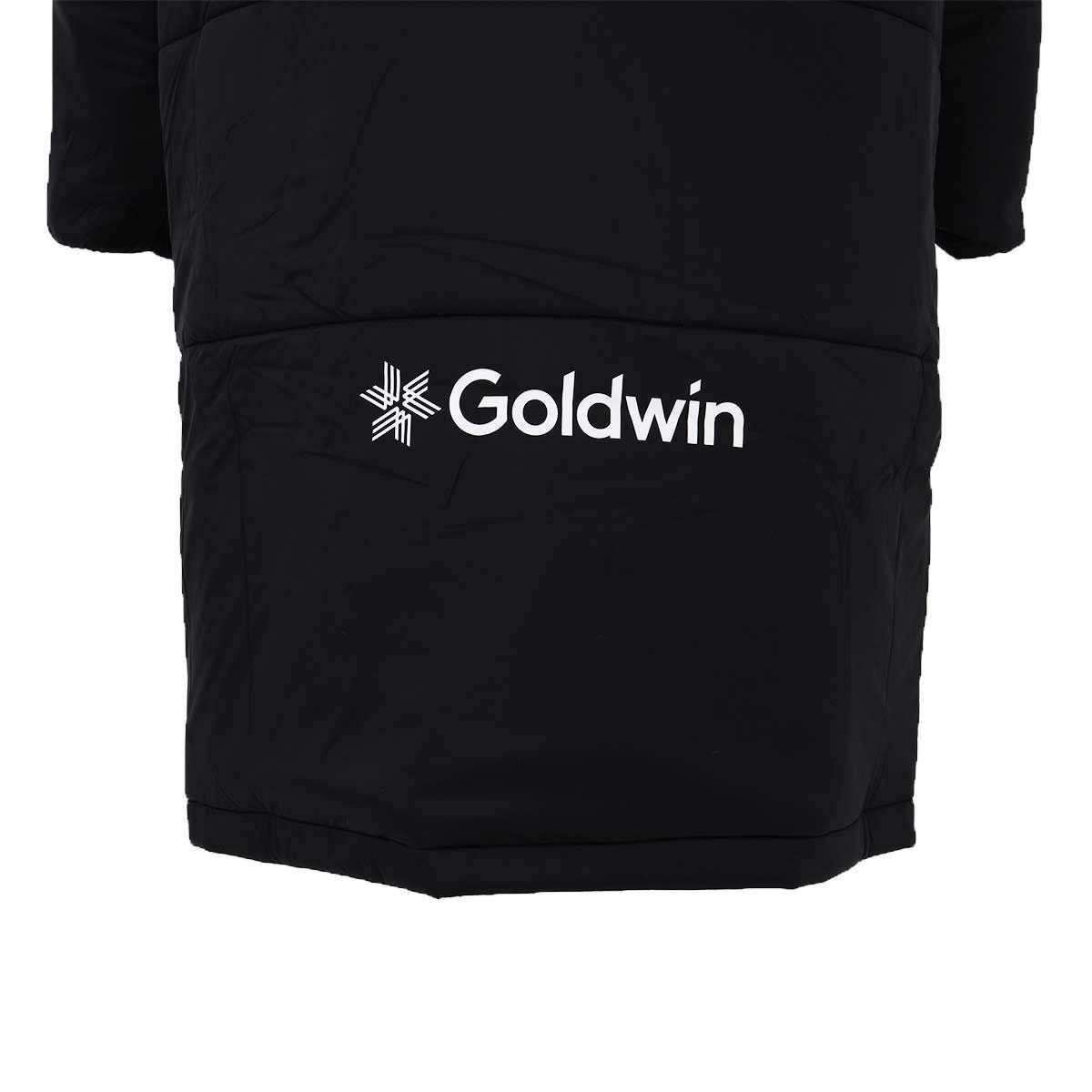スキー ゴールドウイン メンズ スキージャケット Goldwin ダウン