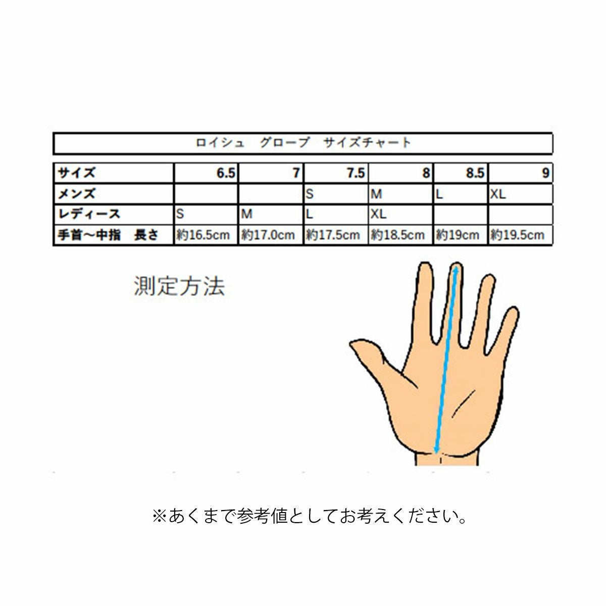 REUSCH ロイシュ スキー グローブ メンズ レディース＜2025＞WORLD