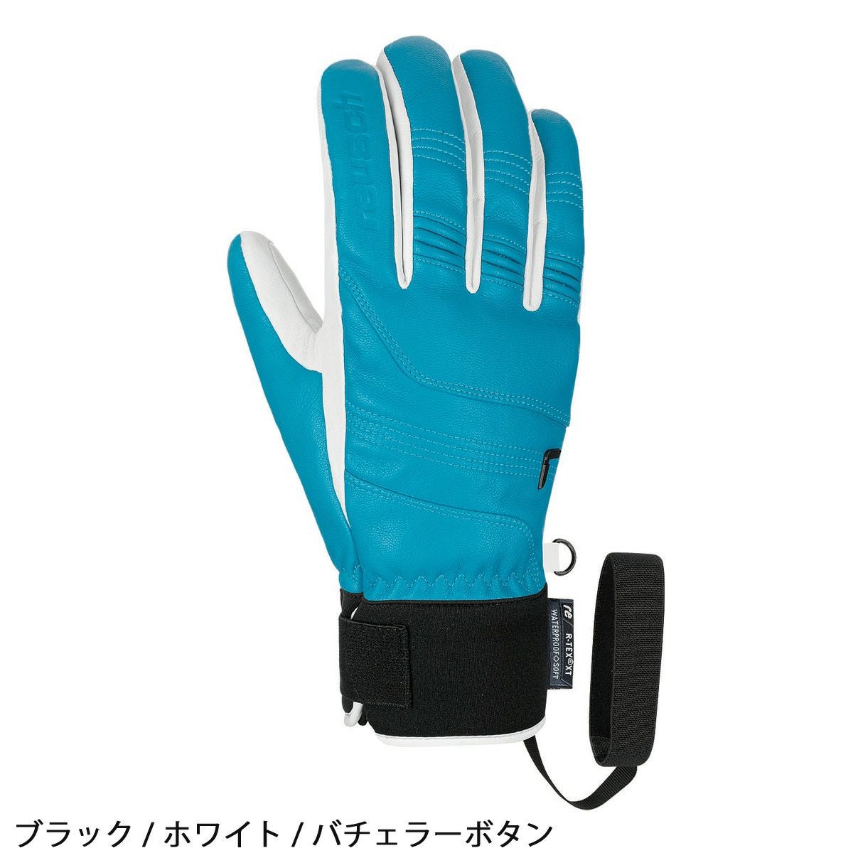 REUSCH ロイシュ スキーグローブ メンズ レディース HIGHLAND R-TEX XT