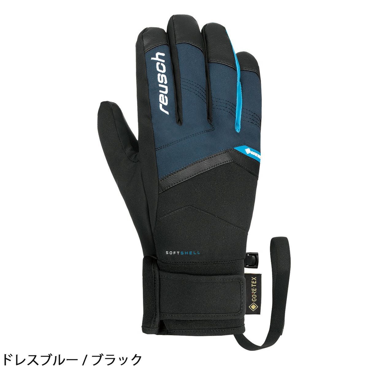 REUSCH ロイシュ スキー グローブ メンズ レディース＜2025＞BLASTER