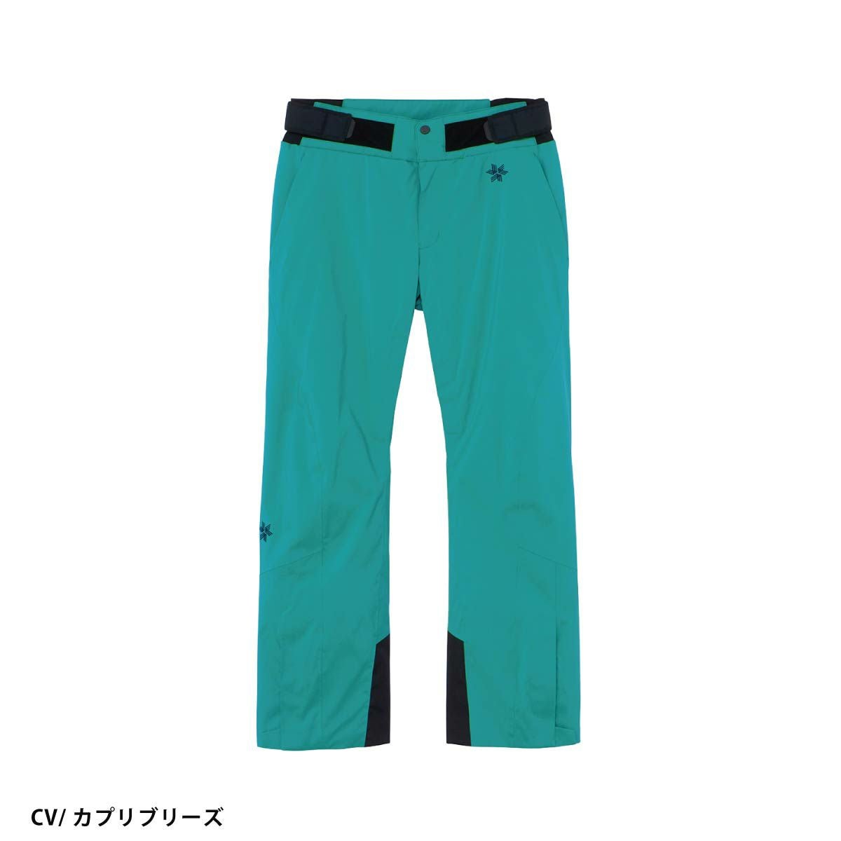 スキーウェア スキーパンツ パンツ ゴールドウイン Goldwin メンズ
