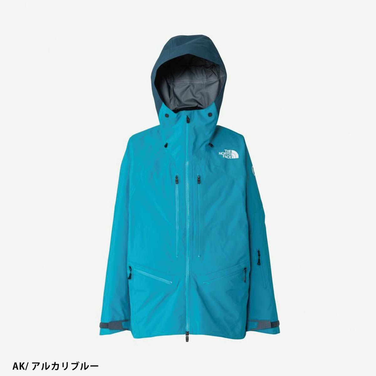 スキーウェア メンズ スキージャケット THE NORTH FACE ザ・ノース
