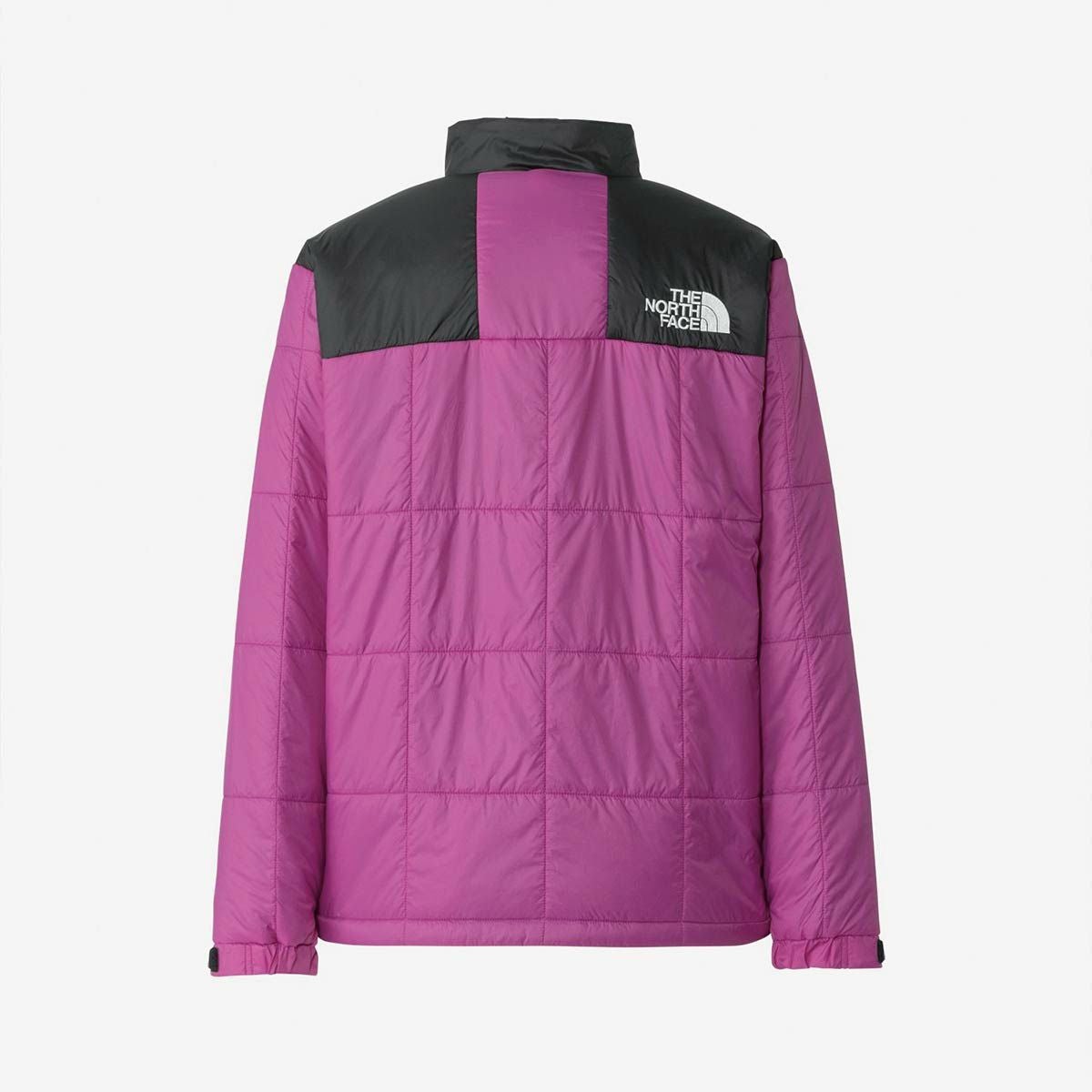 スキーウェア メンズ スキージャケット THE NORTH FACE ザ・ノース