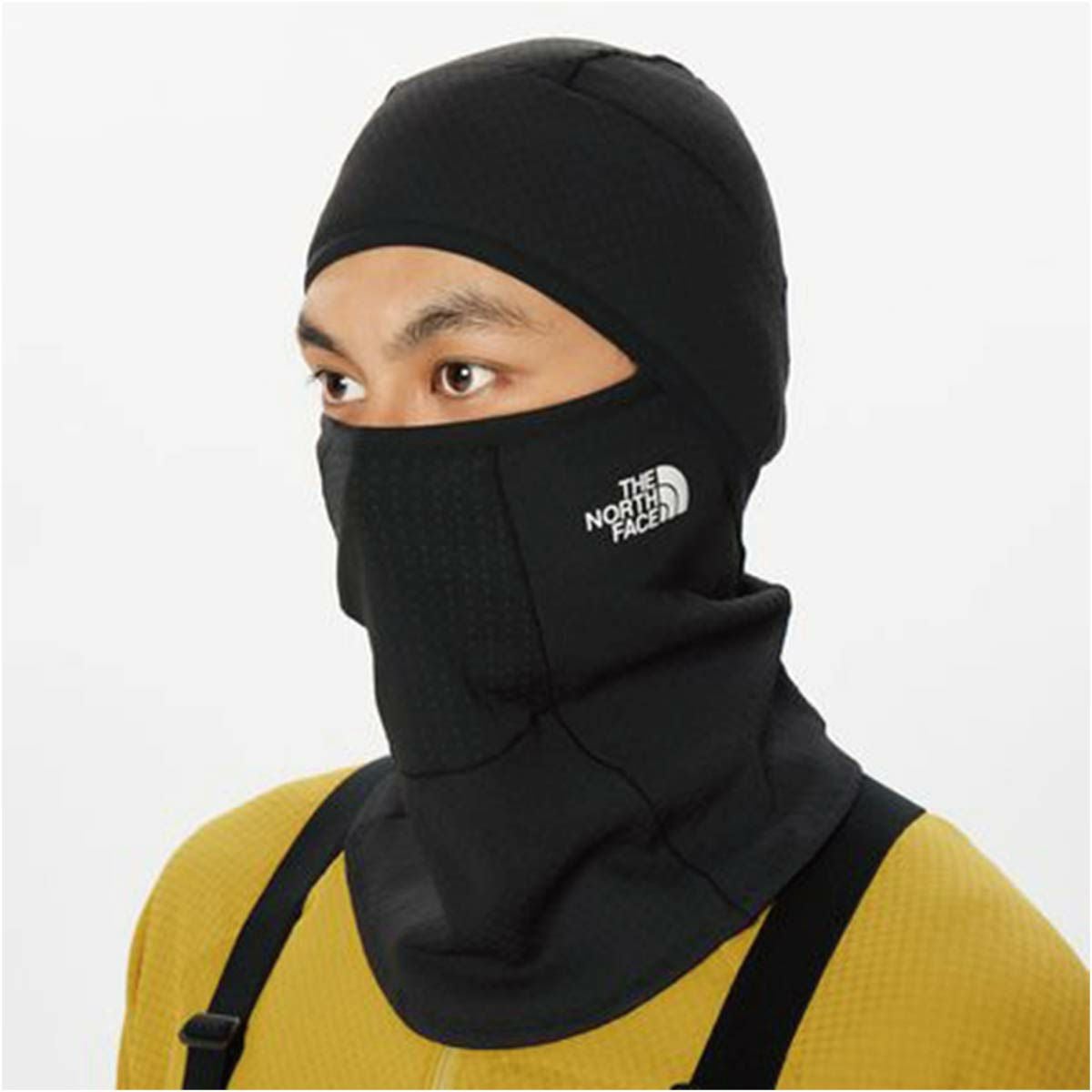THE NORTH FACE ザ・ノース・フェイス スキー ネックウォーマー メンズ
