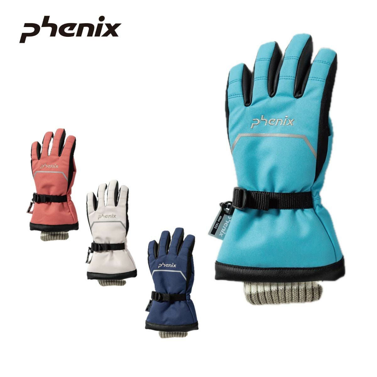 phenix スキー グローブ」の人気商品一覧 | 安い商品を通販サイトから