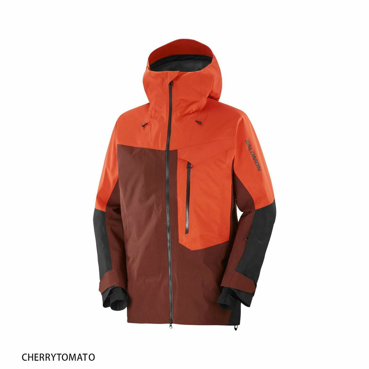 SALOMON GORE-TEX スキーウェア/スノーボードウェア スキーウェア メンズ スキージャケット サロモン SALOMON ゴアテックス