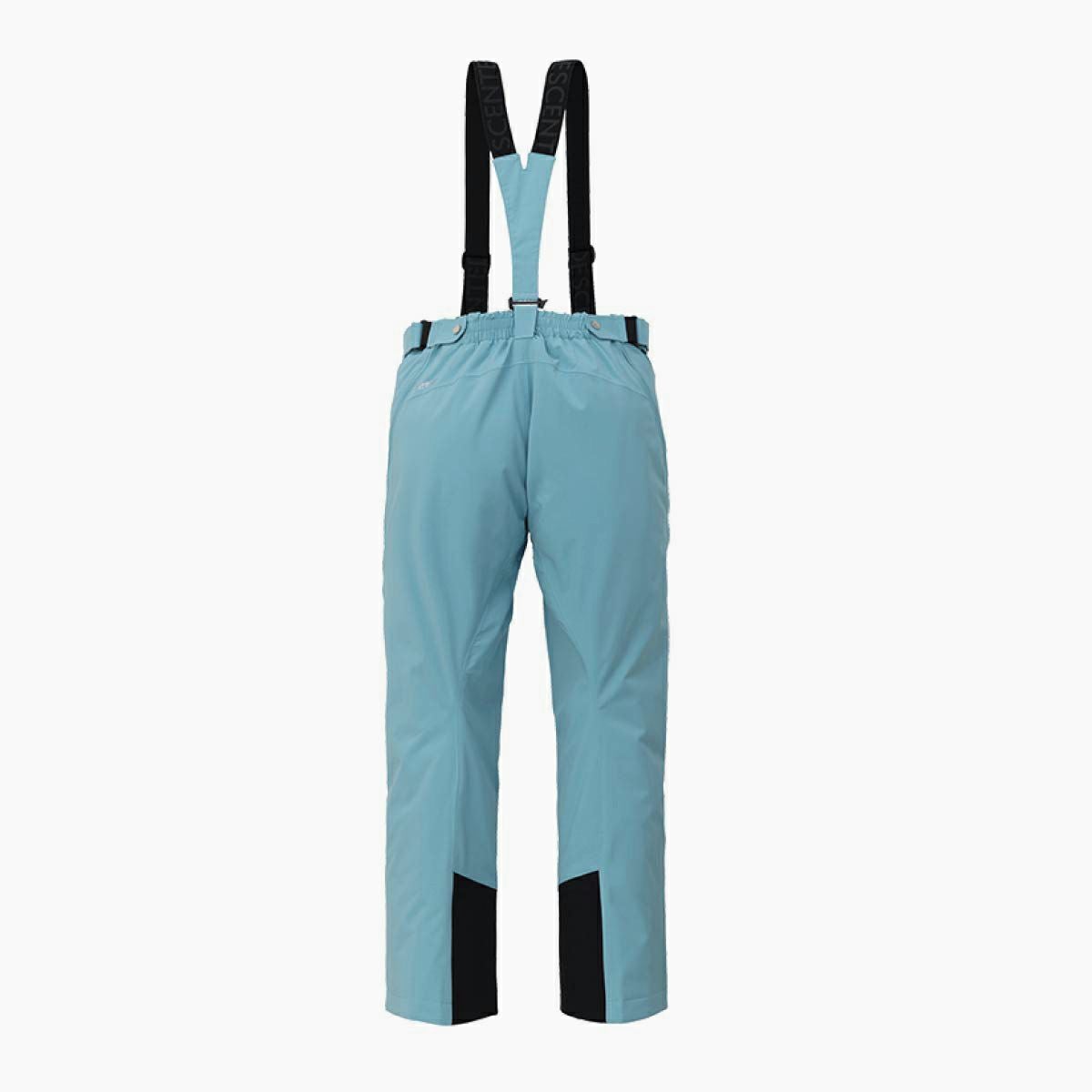 スキーウェア スキーパンツ デサント パンツ DESCENTE メンズ