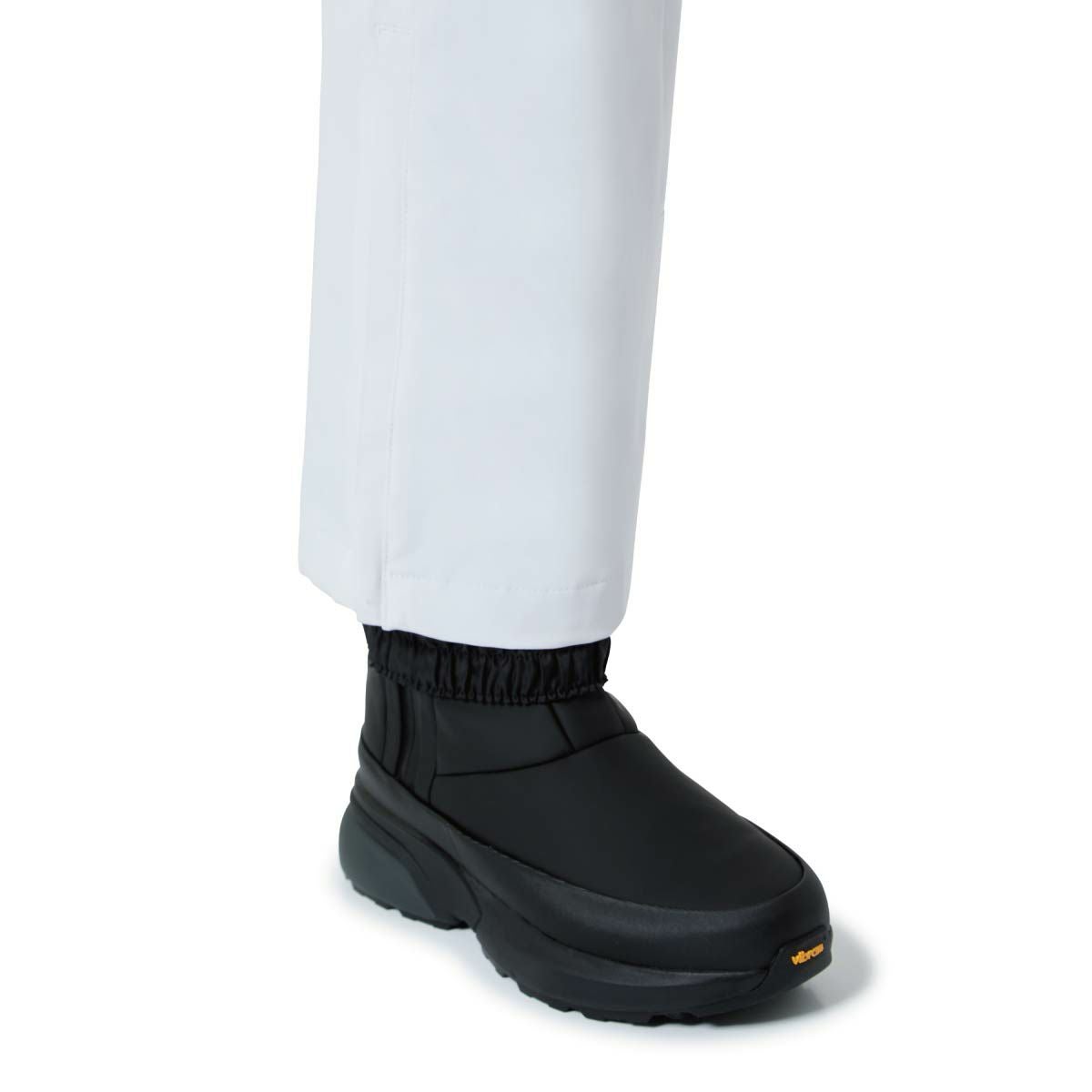 スキーウェア スキーパンツ デサント レディース パンツ DESCENTE