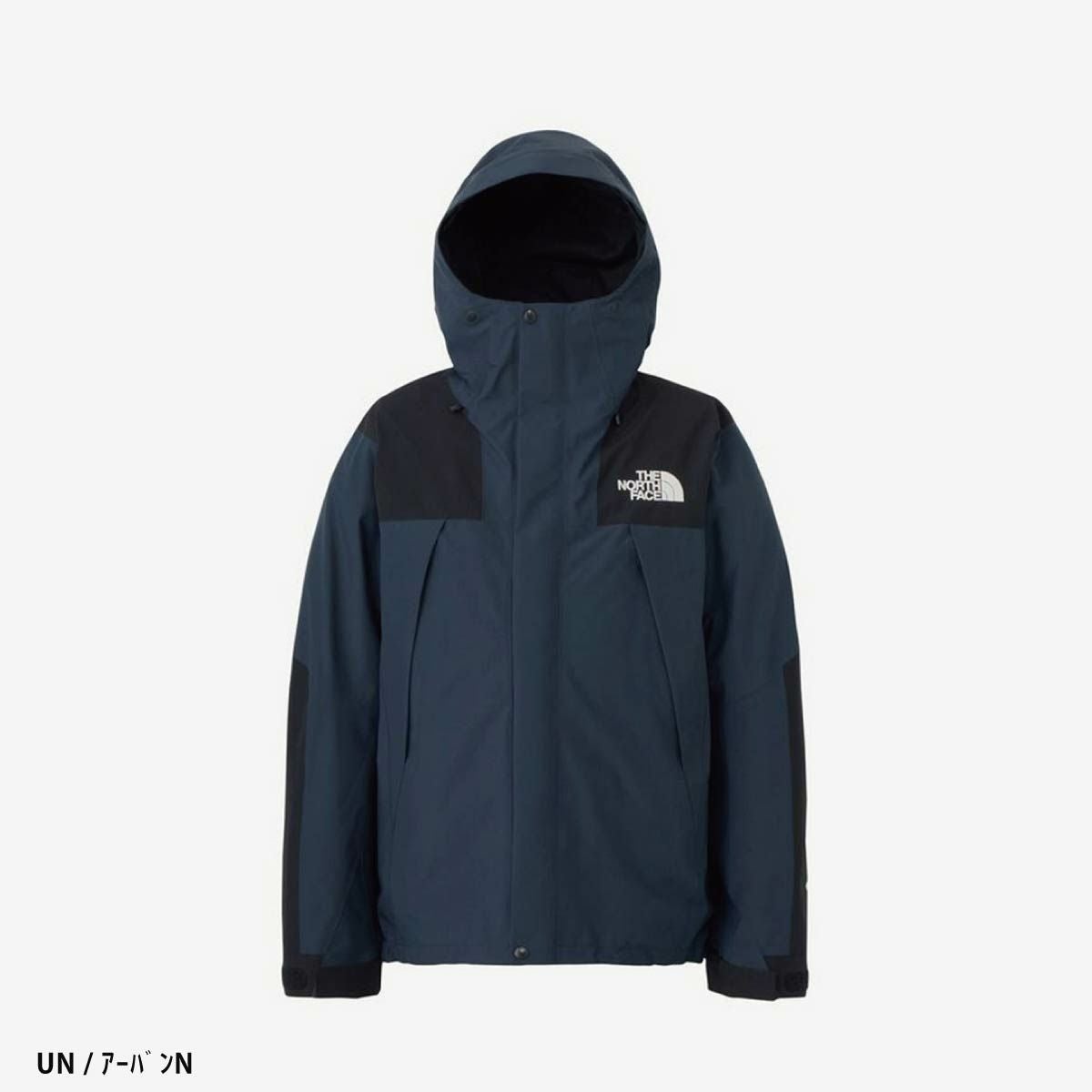 スキーウェア メンズ スキージャケット THE NORTH FACE ザ・ノース
