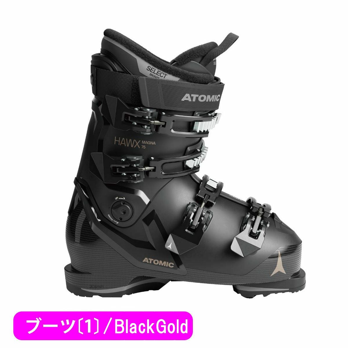 スキー板 スキーセット レディース スキー3点セット 〔ステップアップ