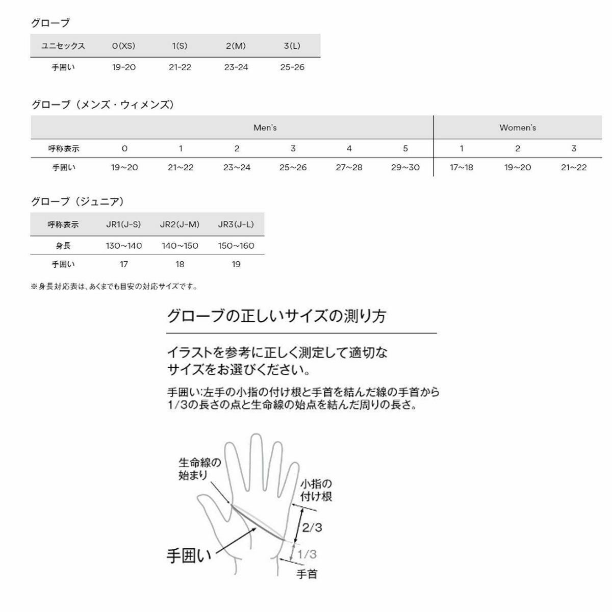 GOLDWIN ゴールドウイン スキーグローブ メンズ＜2026＞G85300