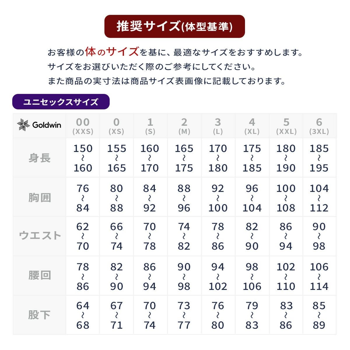 GOLDWIN ゴールドウイン スキーウェア アウター ジャケット メンズ