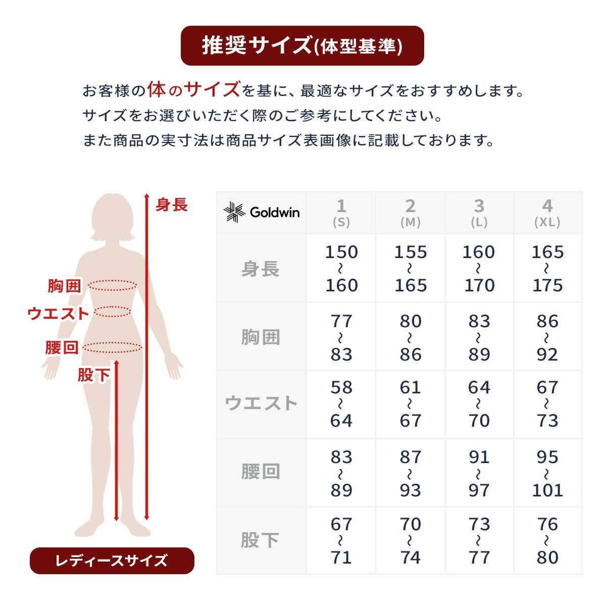 GOLDWIN ゴールドウイン スキーウェア アウター ジャケット レディース