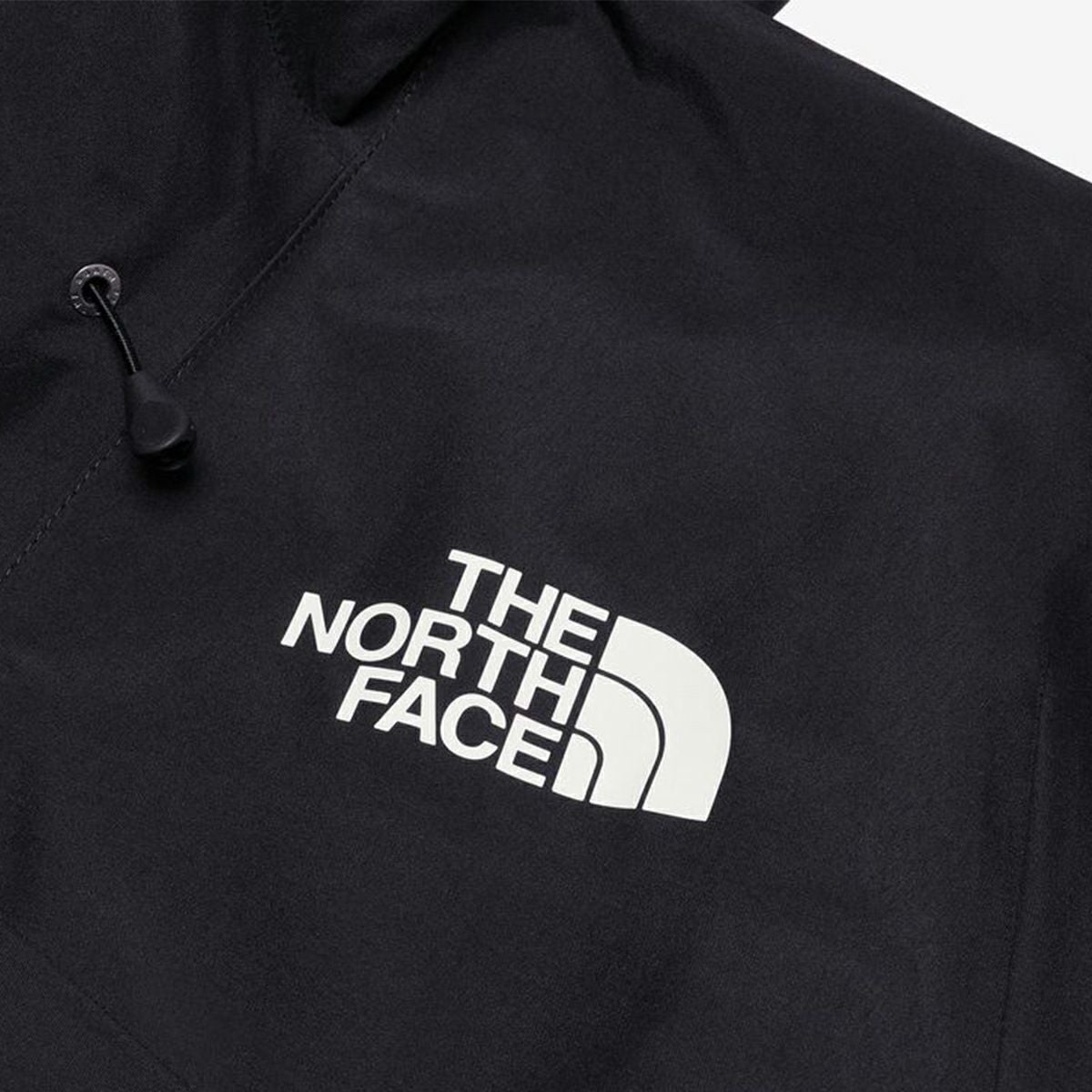 THE NORTH FACE ザ・ノース・フェイス スキーウェア アウター