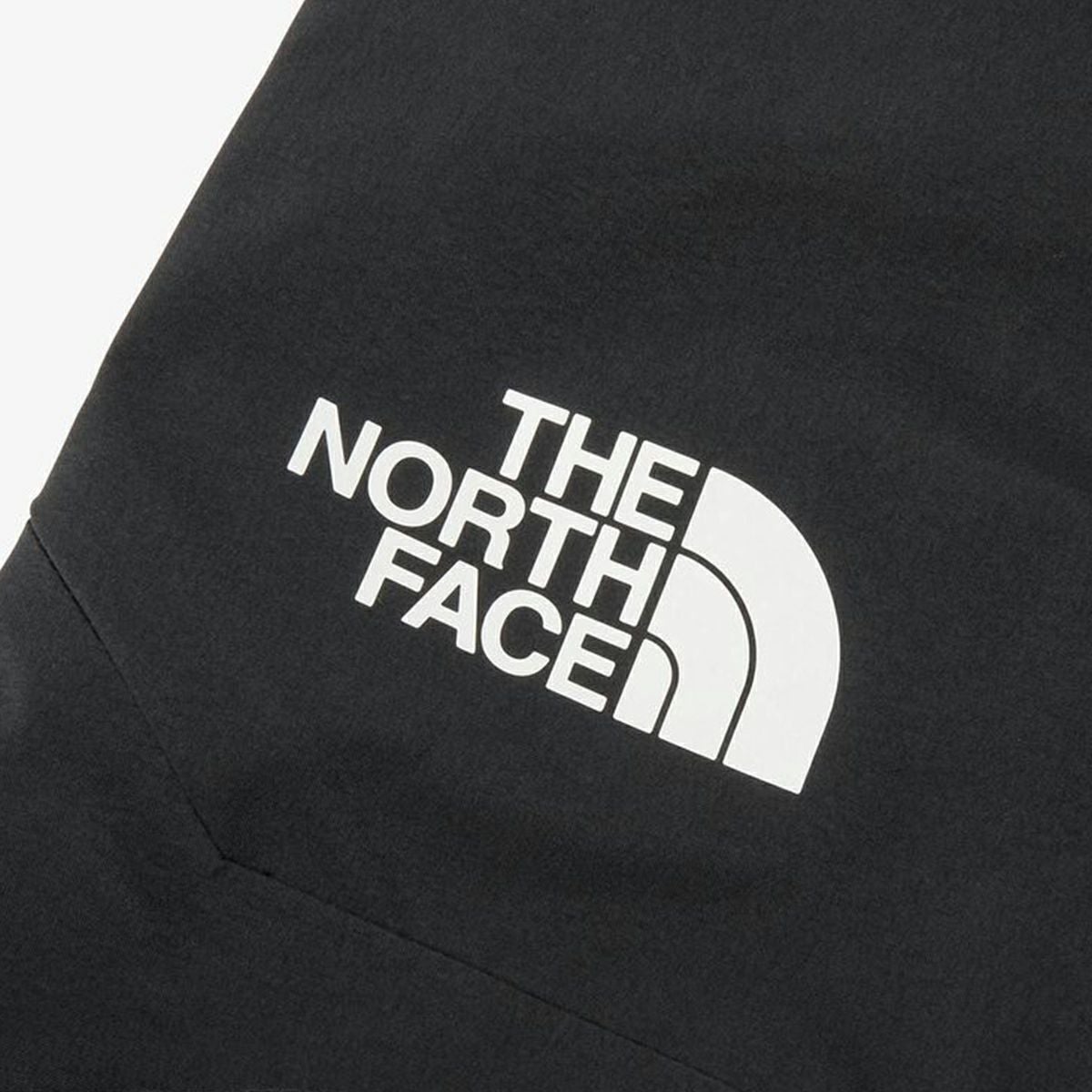 THE NORTH FACE ザ・ノース・フェイス スキーウェア パンツ メンズ