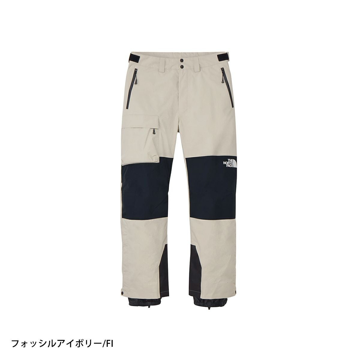 THE NORTH FACE ザ・ノース・フェイス スキーウェア パンツ メンズ
