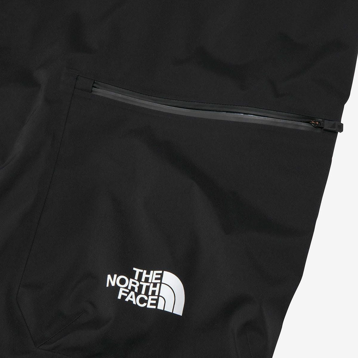 THE NORTH FACE ザ・ノース・フェイス スキーウェア パンツ メンズ
