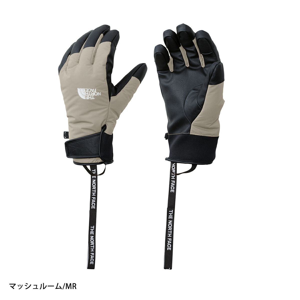 THE NORTH FACE ザ・ノース・フェイス スキーグローブ メンズ