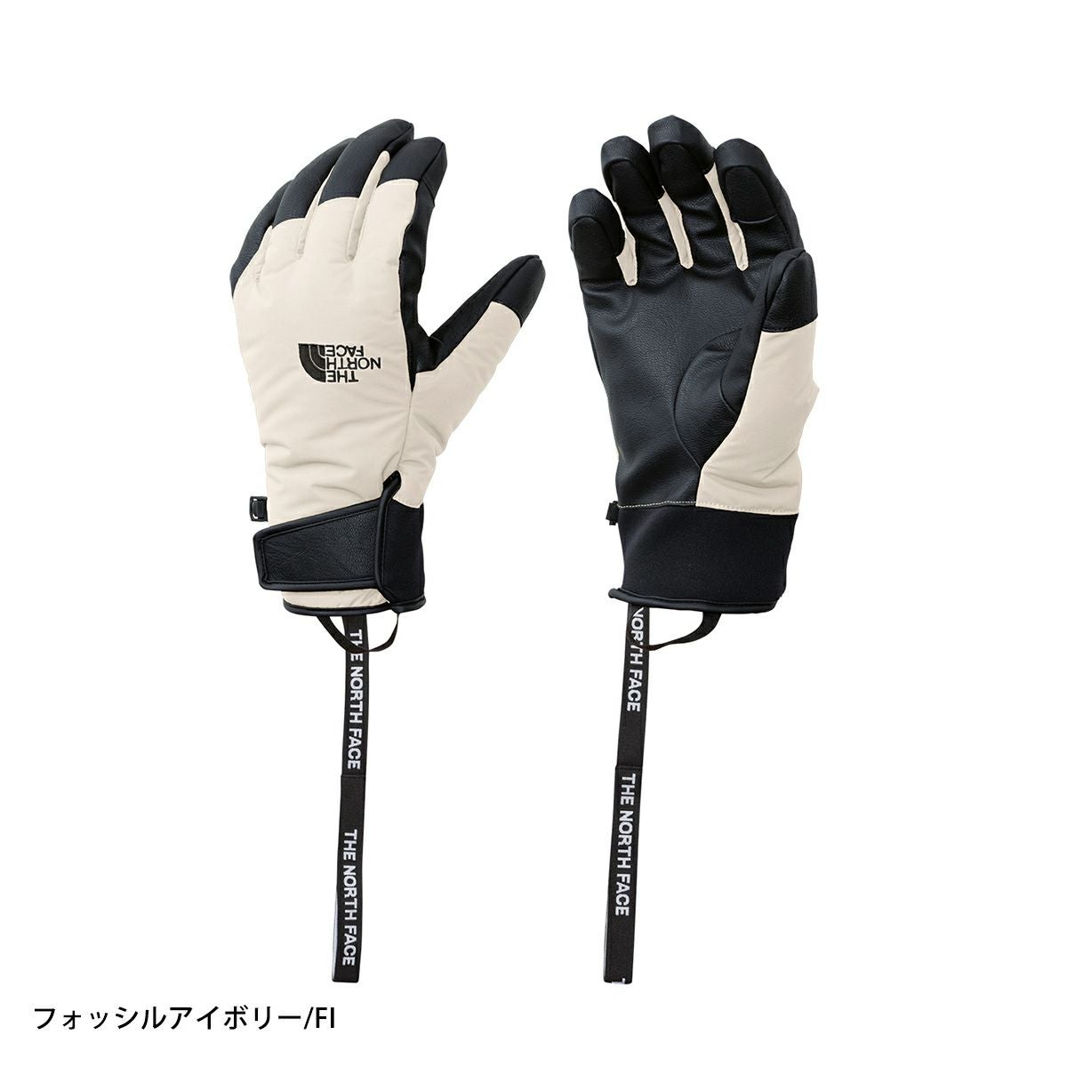 THE NORTH FACE ザ・ノース・フェイス スキーグローブ メンズ