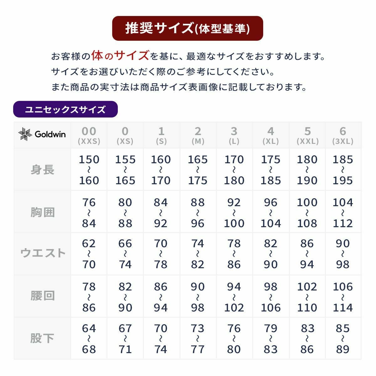 GOLDWIN ゴールドウイン スキーウェア パンツ メンズ＜2026＞G35353