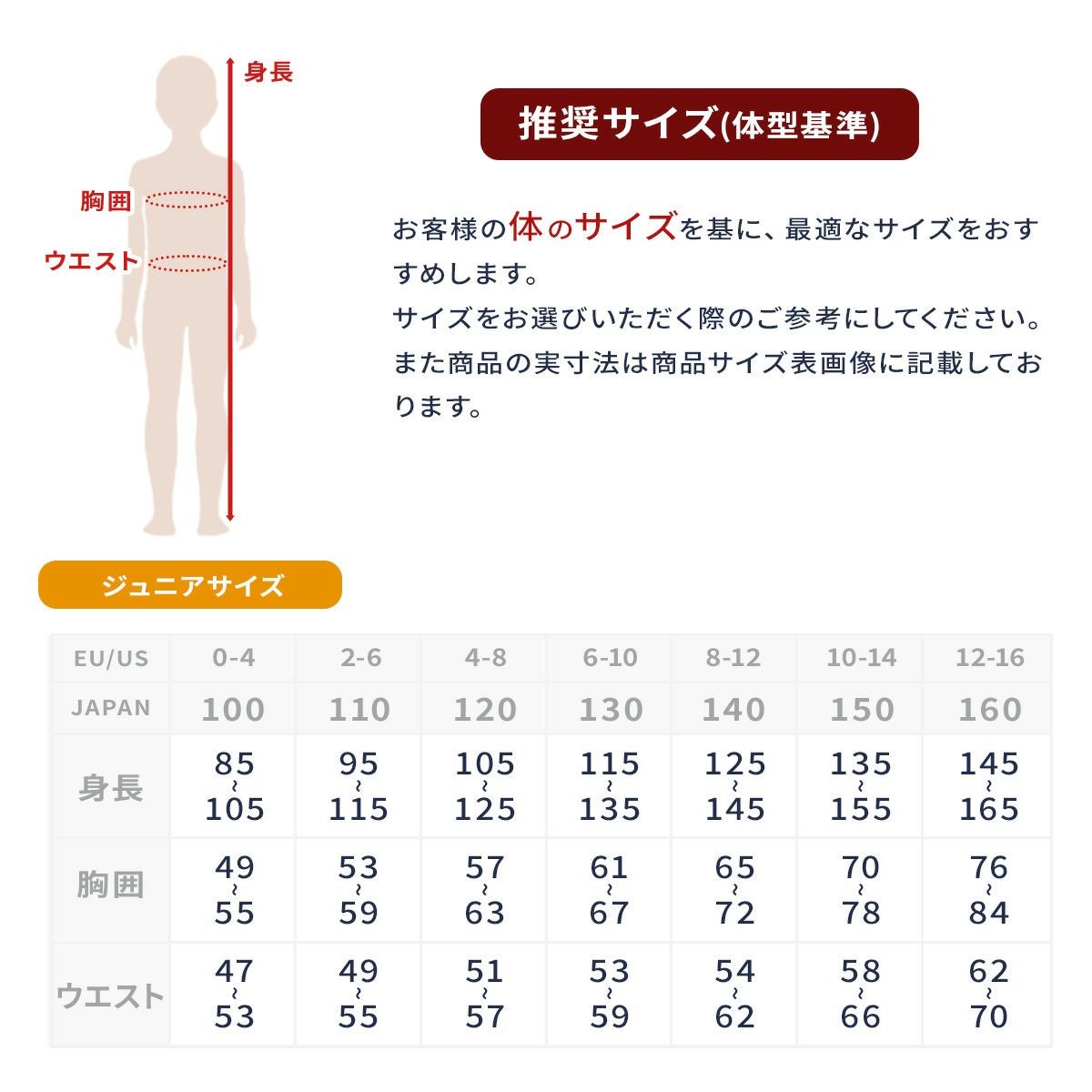 PHENIX フェニックス スキーウェア キッズ ジュニア ＜2026