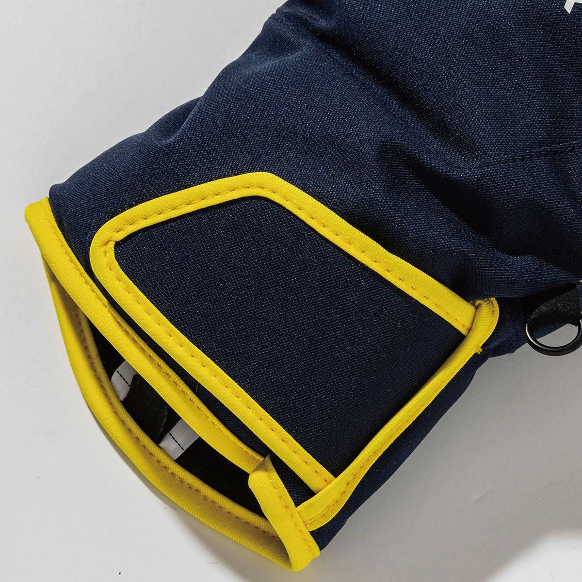 PHENIX フェニックス スキーグローブ メンズ＜2026＞Bicolor Gloves