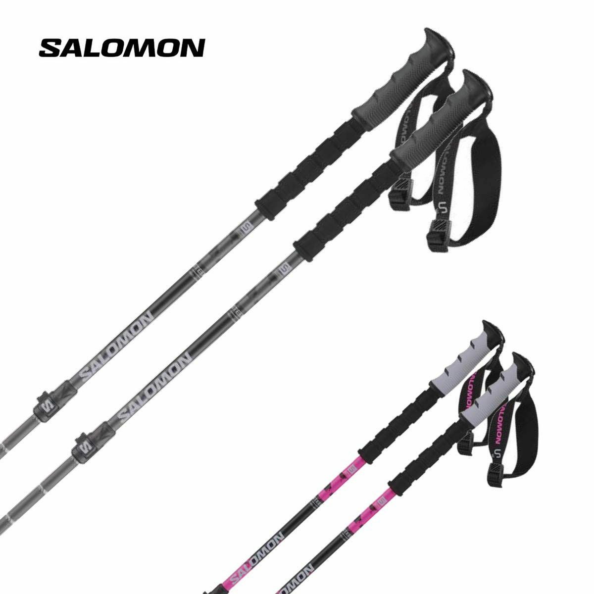スキー【SALOMON】、ストック、ケースセット SALOMON（サロモン） 20-21 【スキーケース/在庫処分品】 EXTEND