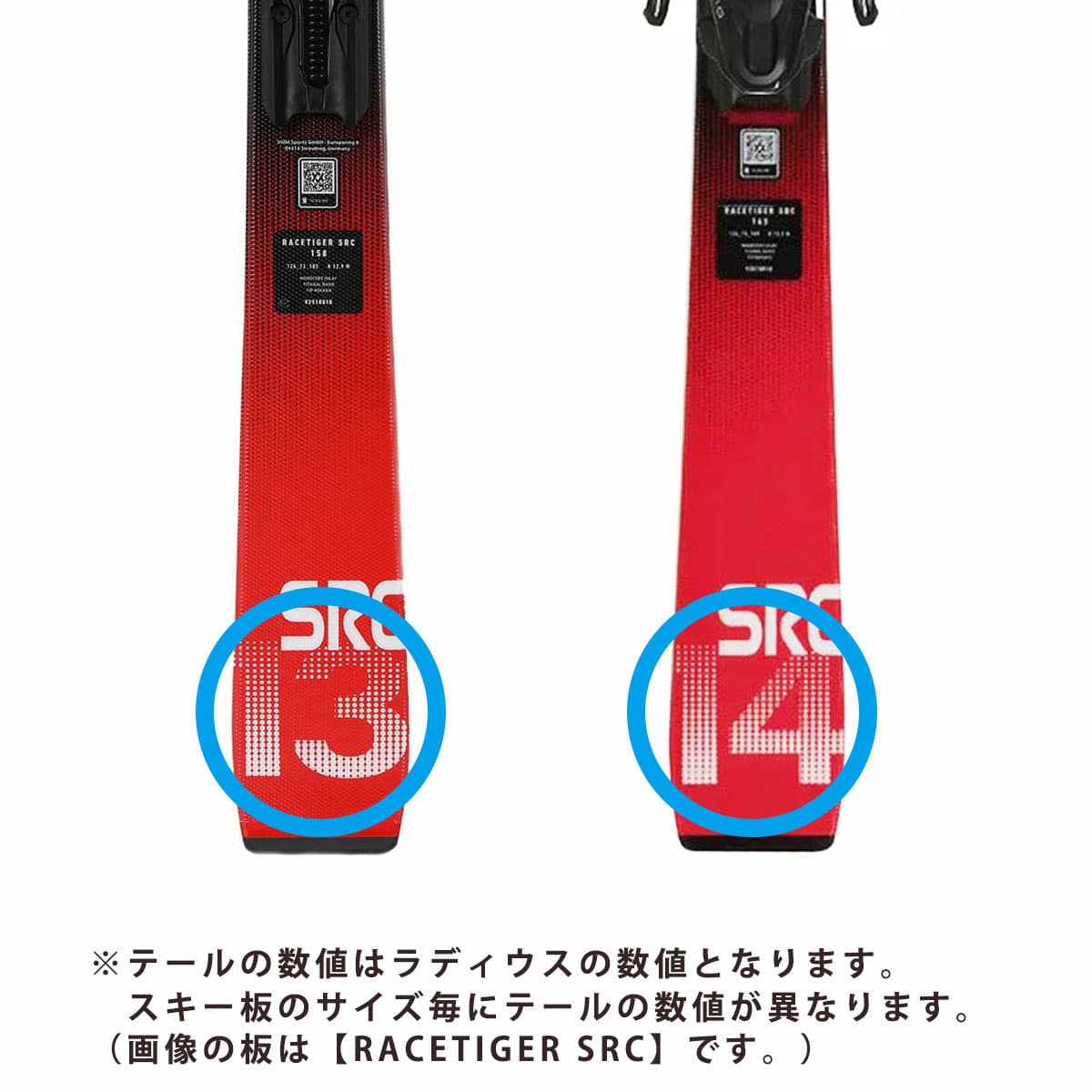 VOLKL フォルクル スキー板 メンズ レディース＜2026＞RACETIGER SRC +